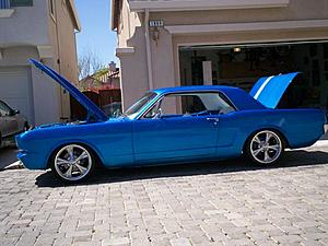 American Muscle Cars-picture-201.jpg