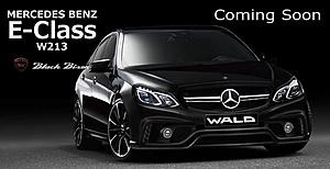 For the new E-class lovers: W213 WALD Black Bison Kit-1002160_592100917480047_4051824_n.jpg