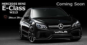 For the new E-class lovers: W213 WALD Black Bison Kit-w213.jpg