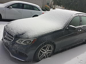 My wagon froze.-2013-12-06-13.04.30.jpg