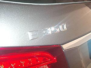 2014 E with Nappa Leather-new_badges.jpg