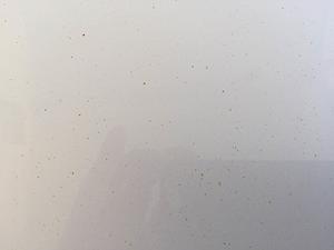 I discovered rust (specks and tiny chips) on my new E350 - Please advise-img_1146.jpg