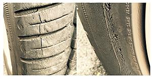 Are these tires CPO worthy ?-3.jpg