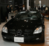 2006 Pusan Motor Show-3.gif