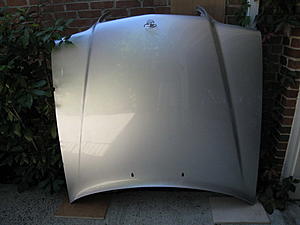 W124 1994-95 Grille, hood, pad and ornament-img_0275_resize.jpg