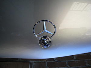 W124 1994-95 Grille, hood, pad and ornament-img_0276_resize.jpg