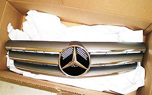 W209 CLK Grill  -2006 Style--p9100007.jpg