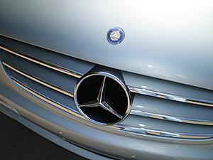 W209 CLK Grill  -2006 Style--p7300004-2-.jpg