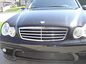 WTB:W203 Grille-dsc02202.jpg