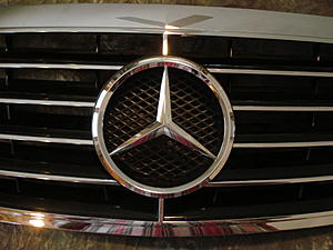 W220 (2003-2006) CL style SCHATZ Grille-dsc03265.jpg