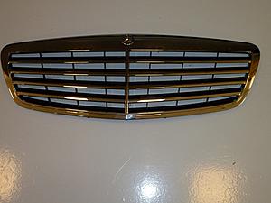 S 550 OEM Grill-grill.jpg