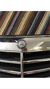 FS: W212 OEM Front Grille (AMG)-photo446.jpg
