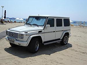 White G55-untitled.jpg