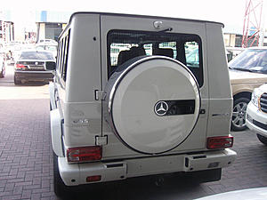 White G55?-5924-5.jpg