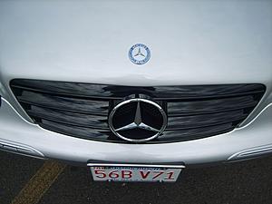 Which flat emblem did you buy and for how much?-s8002808.jpg