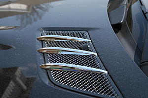 Chrome Accents-img_0394.jpg