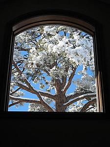 Off to the Snow.....-snow-window.jpg