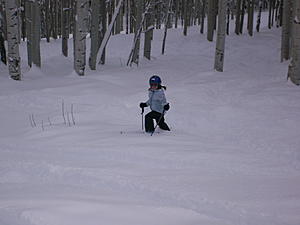 X164 GL-Class Unofficial Picture Thread-taylor-skiing-trees.jpg