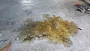 Found a puddle of oil under the car.-82cclbp.jpg