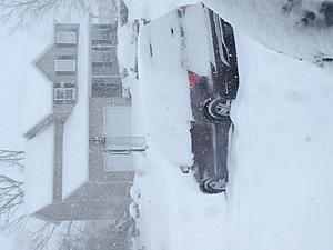Much Snow!-gl.jpg