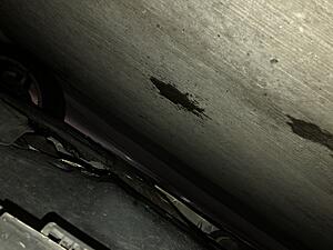 Clear Liquid Leaking Below Car in 2 Spots, Possible DEF Leak?-a05500d5-e054-4cb5-86fa-3380f182611f.jpeg