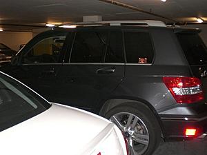 Amusing/Funny GLK pics!-bear1.jpg
