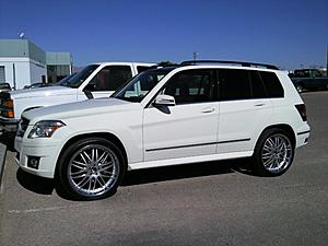 NEW SHOES FOR MY NEW BABY !-glk.jpg
