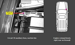 Radiator fan not coming on-fan-fuse-ml-55-500-3.jpg