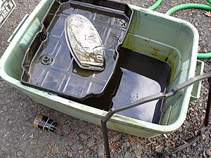 How Many Miles Do You Have on Your ML???-1507857_10201298644256370_837276340_n.jpg