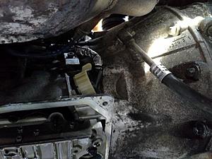 How Many Miles Do You Have on Your ML???-1551527_10201298645056390_567710718_n.jpg