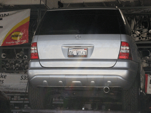 MJ50's W163 Mod Fever-flrdsmb.gif