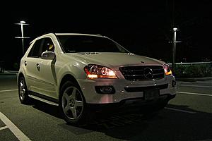 WTT:Silver/ chrome Grill-ml-grill-ml.jpg