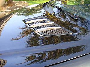 Chrome or Wood Inserts for Window Switch and Mirrors Plate-dsc01924.jpg
