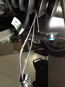 Got my 1st CEL-ml350-rat1.jpg