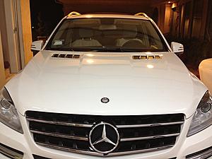 2012 Artic White ML350-car-5.jpg