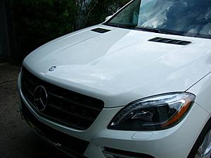 New ML Bluetec arrived and got detailed-007.jpg