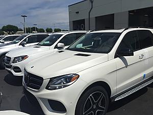 Gle coupe-img_0045.jpg