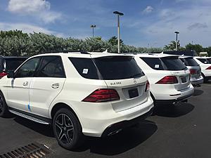 Gle coupe-img_0046.jpg