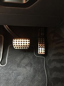 My &quot;New to Me&quot; '15 ML Bluetec-pedals.jpg