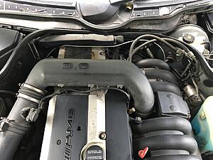 1997 Mercedes Benz C36 AMG W202-hmg8ne8.jpg