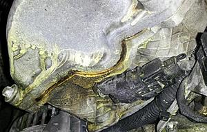 coolant leak (with pictures)-uhoh2.jpg