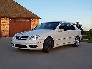 Feeler:  Low Milage C55 AMG-100_3682.jpg