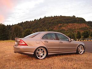 FEELER: 05 C230K-img_0597.jpg