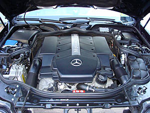 For Sale: Garage kept 05 E500. 26500 miles-e500-engine.jpg