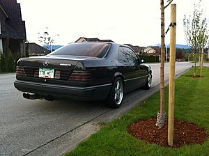 89 230CE Eurospec (rare model)-img_0267.jpg