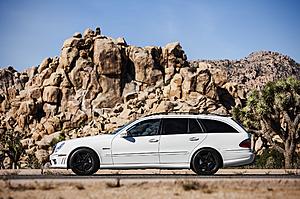 WTB: E55 AMG Wagon (I know it's a long shot)-waggy-2.jpg