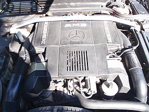 FS: 1990 500SL AMG 6.0-p6160125.jpg