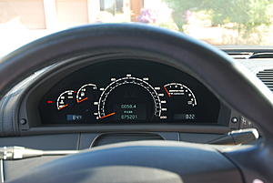 FS 2003 CL55-rcl_6320.jpg