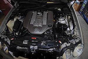 FS 2003 CL55-rcl_6359.jpg