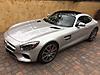 2016 AMG GTS - Silver / Red-amg-gts.jpg